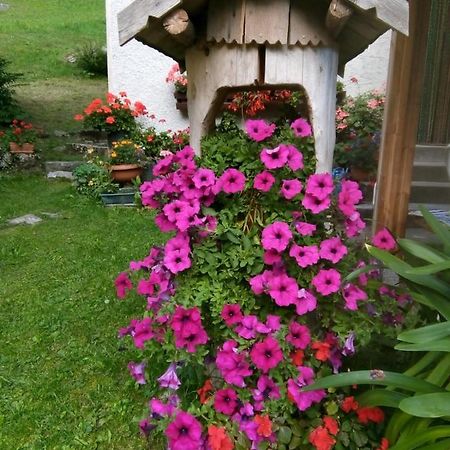 B&B Pra' Dei Cervi Telve Zewnętrze zdjęcie