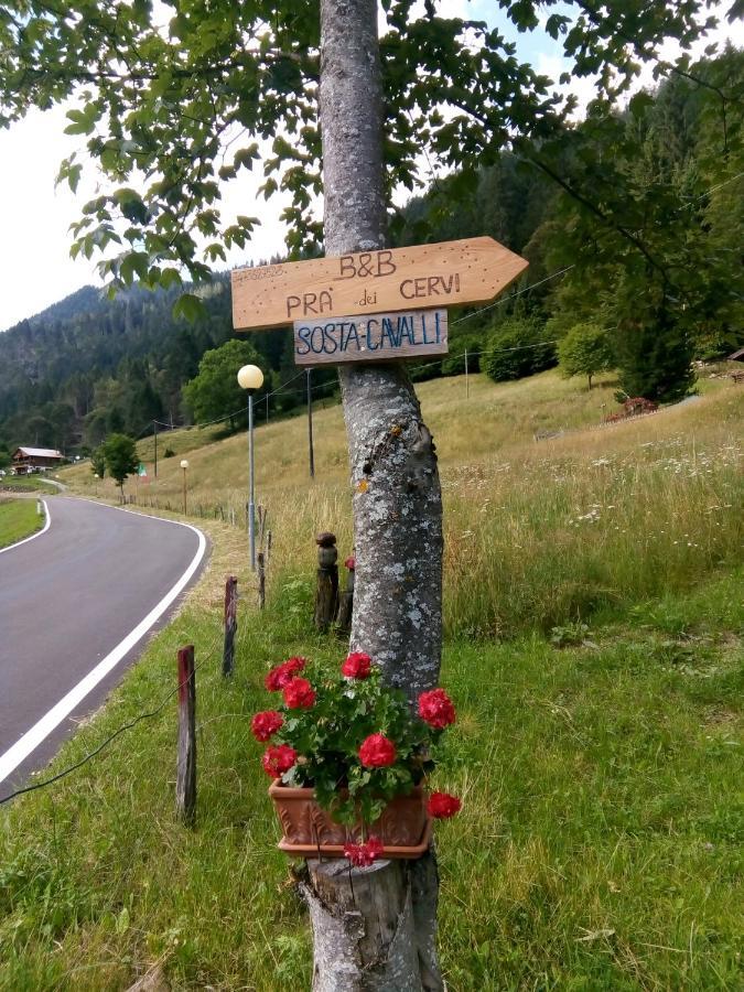 B&B Pra' Dei Cervi Telve Zewnętrze zdjęcie