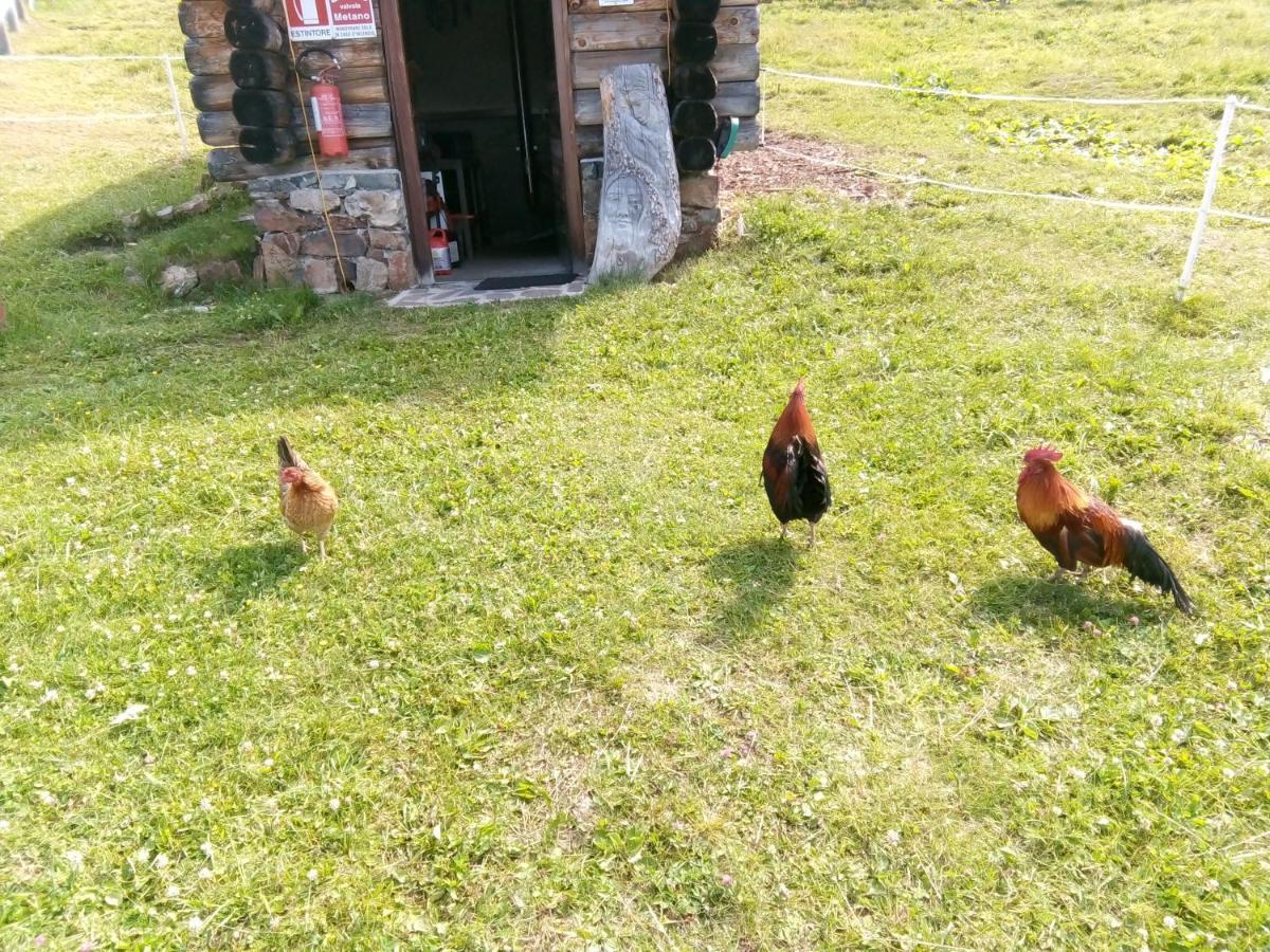 B&B Pra' Dei Cervi Telve Zewnętrze zdjęcie