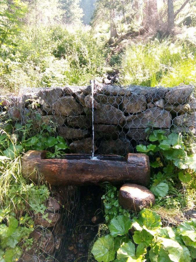B&B Pra' Dei Cervi Telve Zewnętrze zdjęcie