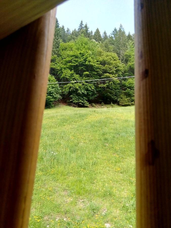 B&B Pra' Dei Cervi Telve Zewnętrze zdjęcie