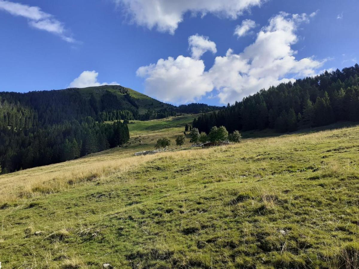 B&B Pra' Dei Cervi Telve Zewnętrze zdjęcie