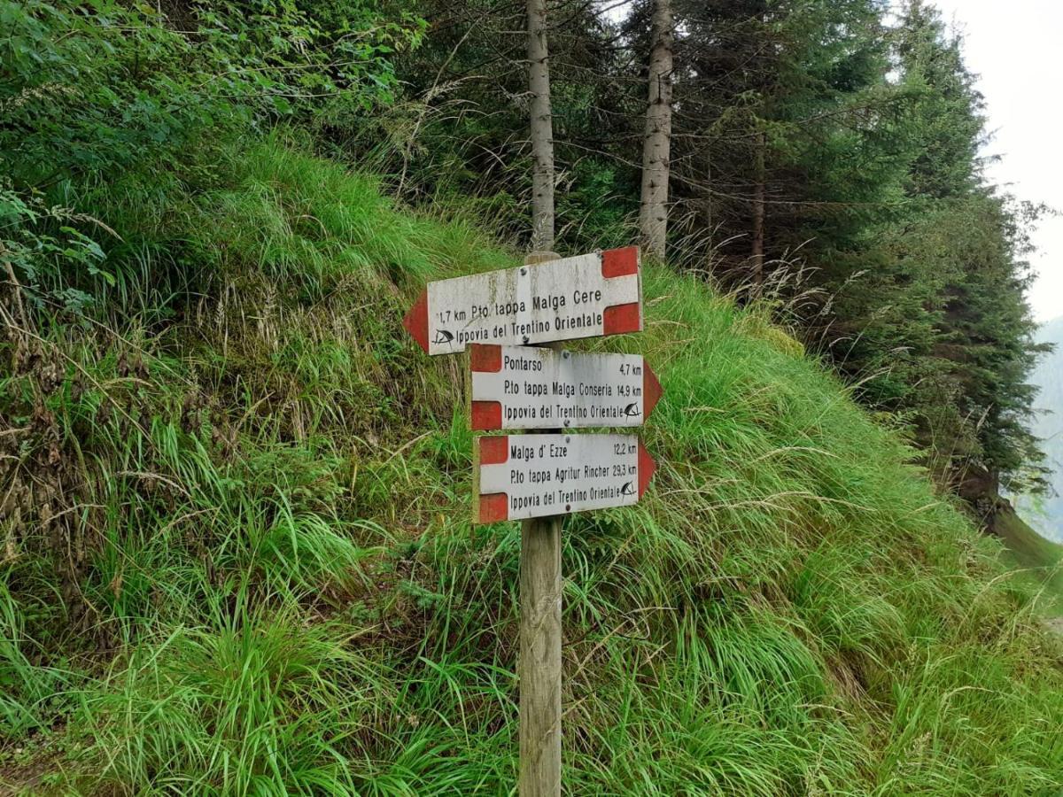 B&B Pra' Dei Cervi Telve Zewnętrze zdjęcie