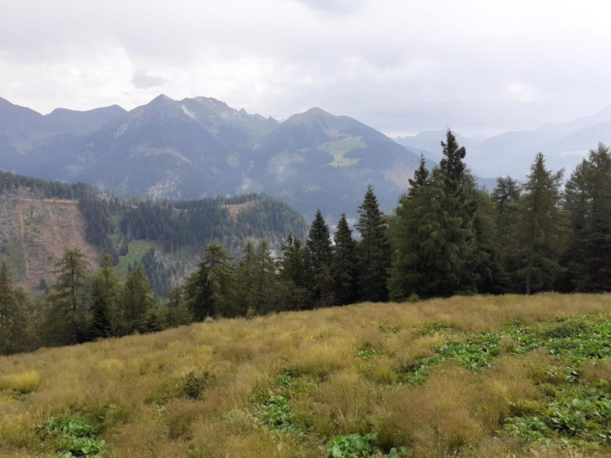 B&B Pra' Dei Cervi Telve Zewnętrze zdjęcie